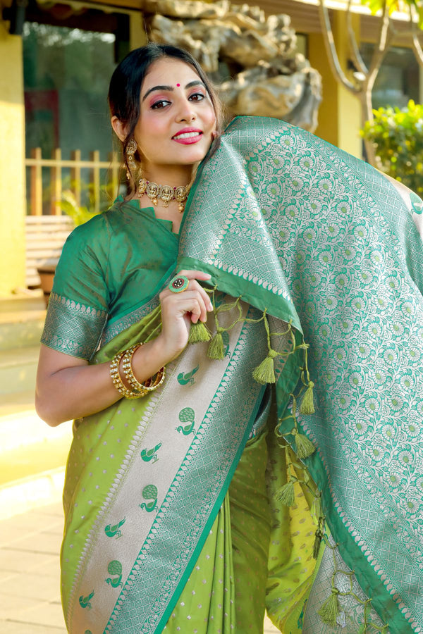 Pastel Green Bandhani Banarasi Silk Saree